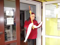 Umieszczanie "drzewa życia" w stupie Kjabdzie Tengi Rinpoczego