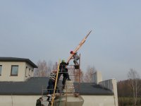 Umieszczanie "drzewa życia" w stupie Kjabdzie Tengi Rinpoczego