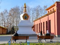 Год 2019 &raquo; Ричард Гир в Грабнике 2019